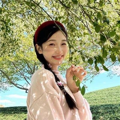 叛谍档案
